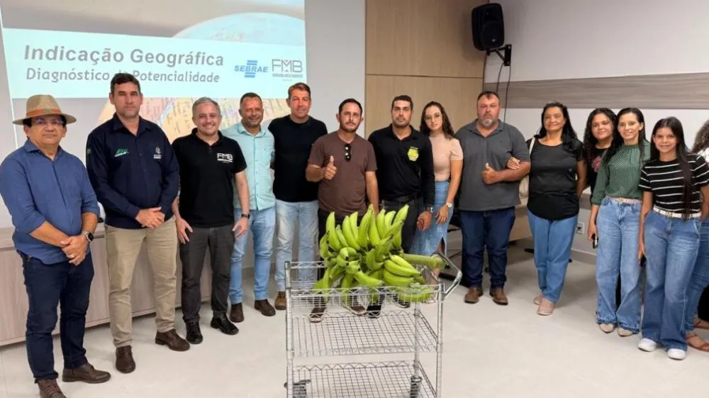 Estudo avalia potencialidades da banana produzida no Vale do Jamari